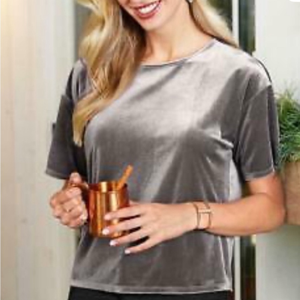 Matilda Jane Good Hart GH Parthenon Gray Velvet Shirt Sleeve Top S